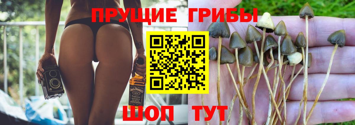 Великий Устюг  даркнет сайт  Вход с VPN  Псилоцибиновые грибы мухоморы 