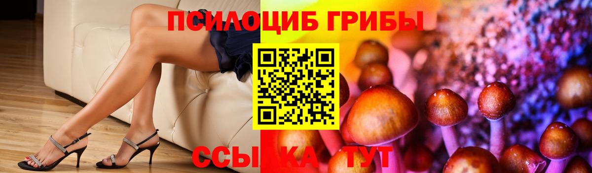 Галлюциногенные грибы мицелий Великий Устюг
